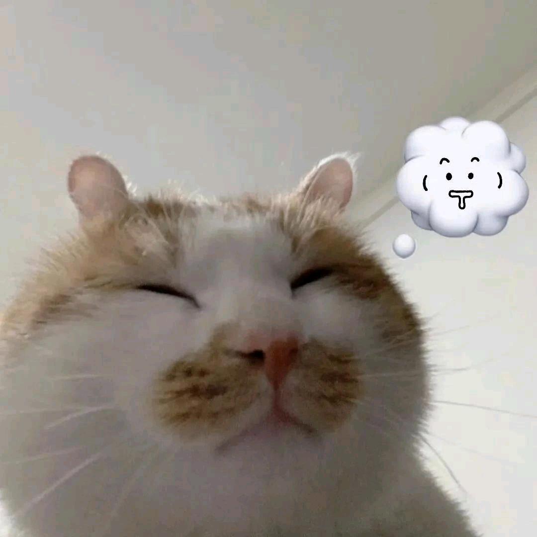 麦恩莉