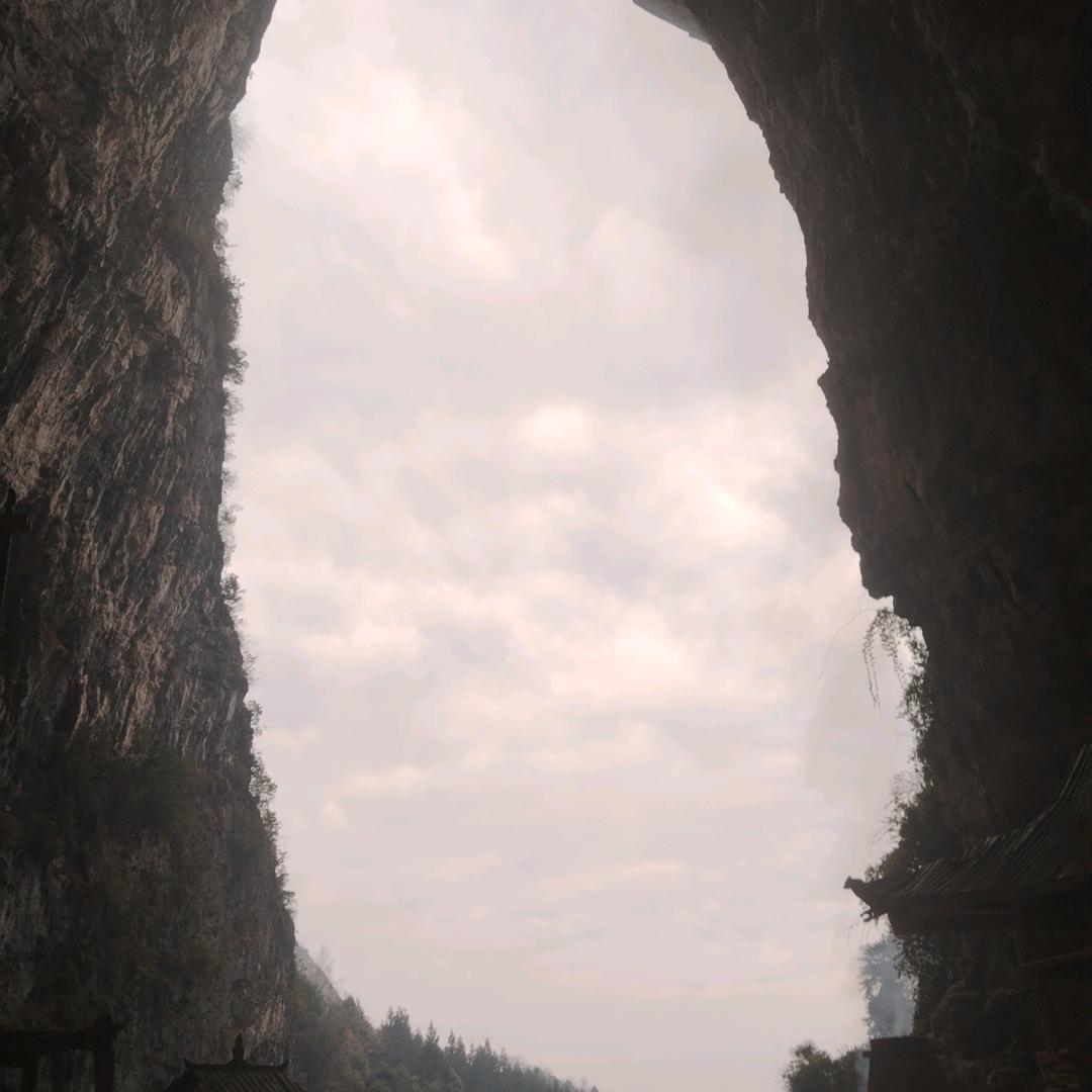 浮光跃金