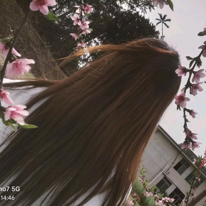 艳儿