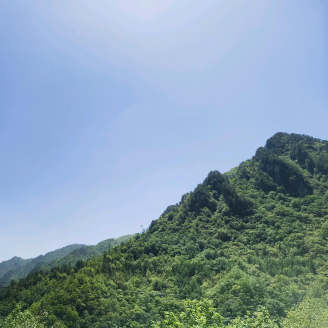 泰山