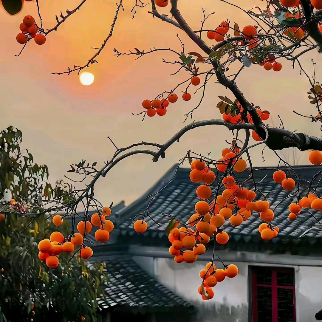 十月的天