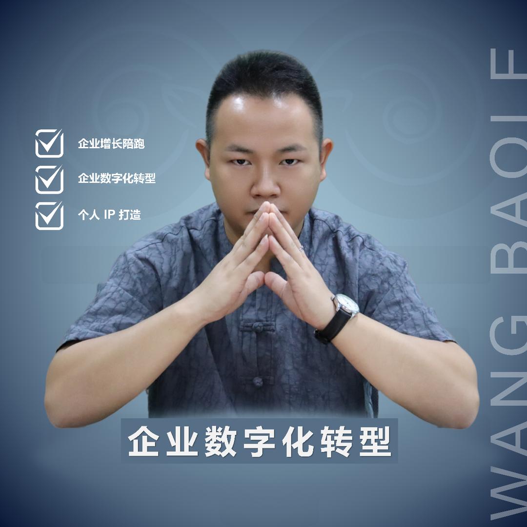 王宝乐聊数字化