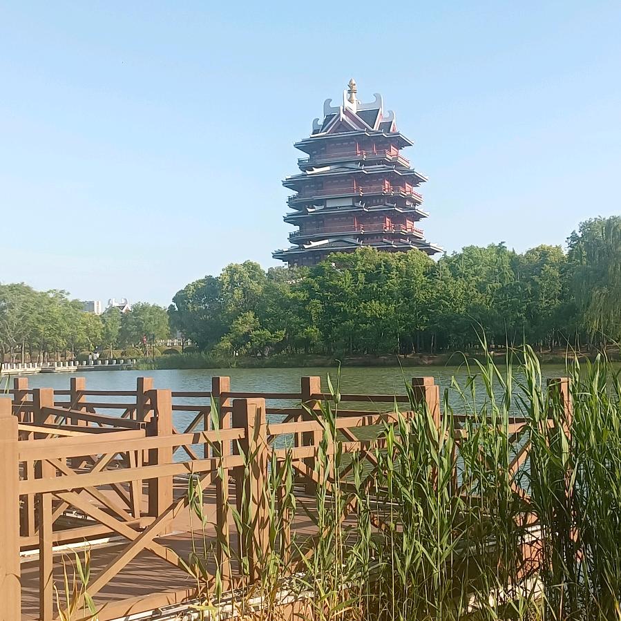 乐在其中