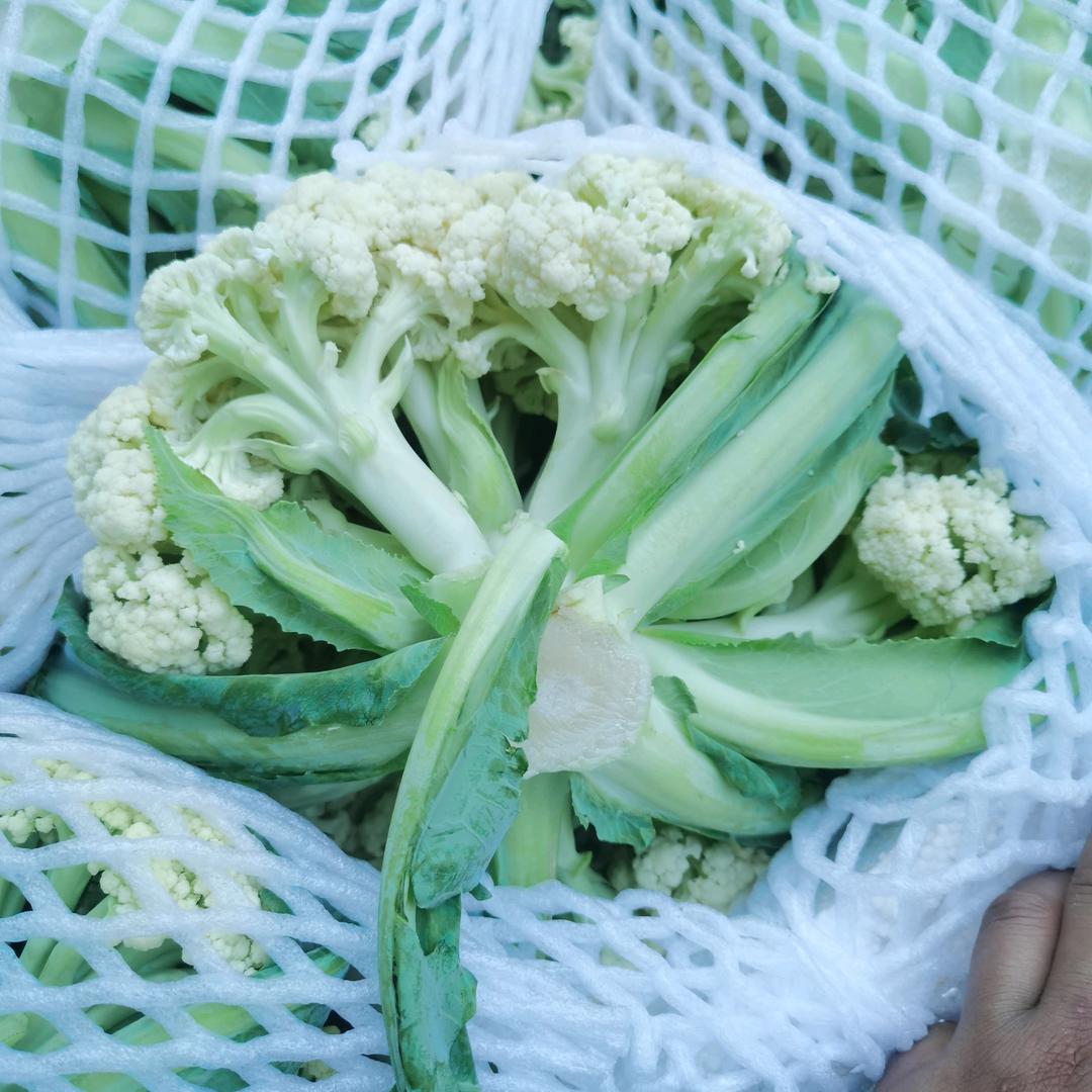 耘耕农场