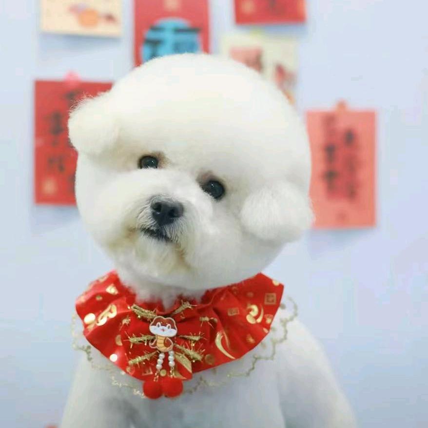 防丢牌定制