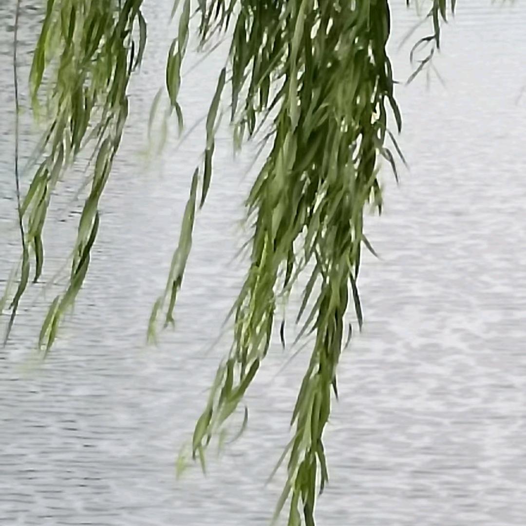 李家润霖