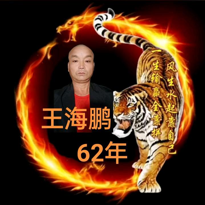 独行千里一只虎