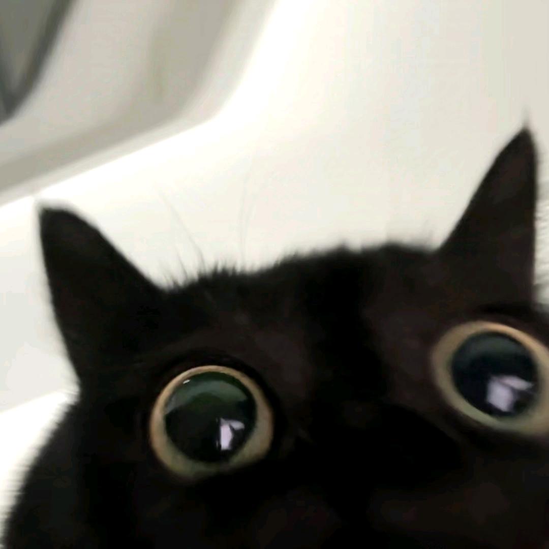 小小葵