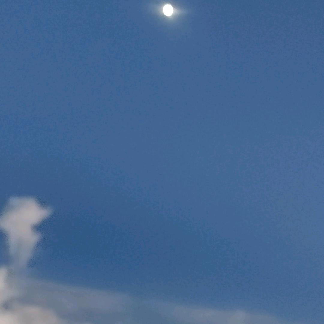 等风雨来