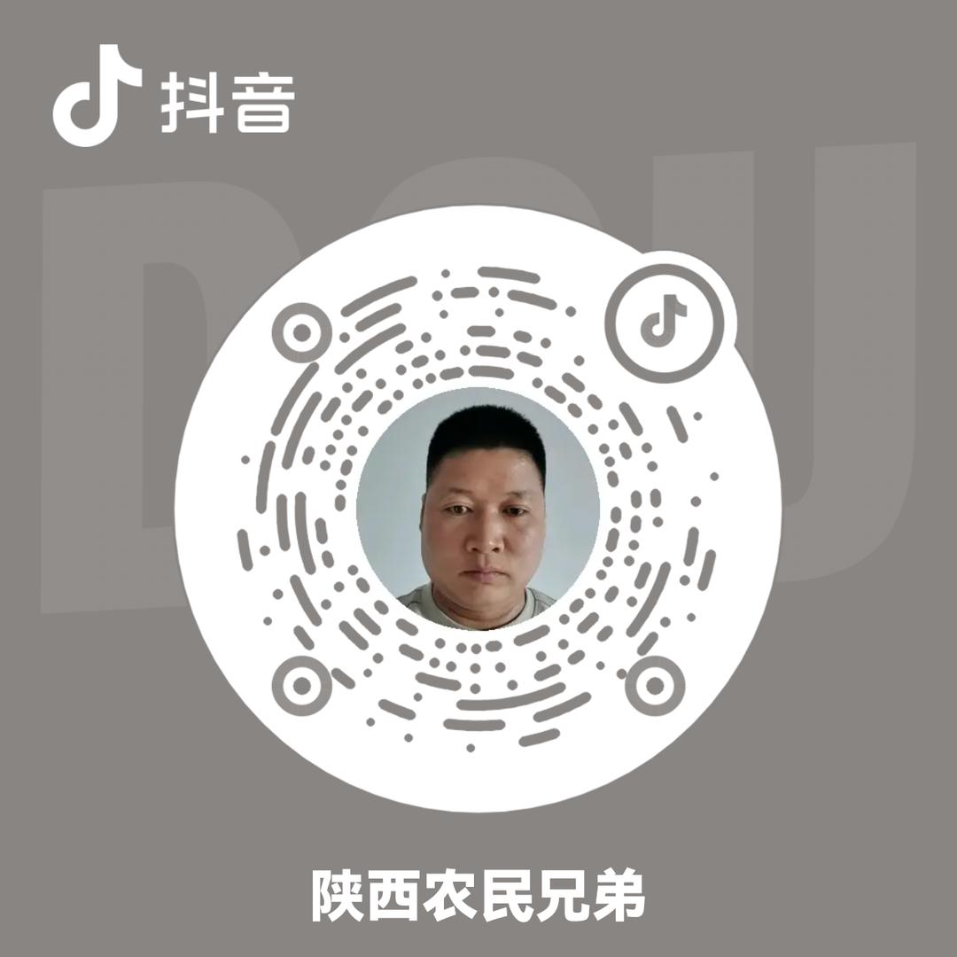 陕西农民兄弟