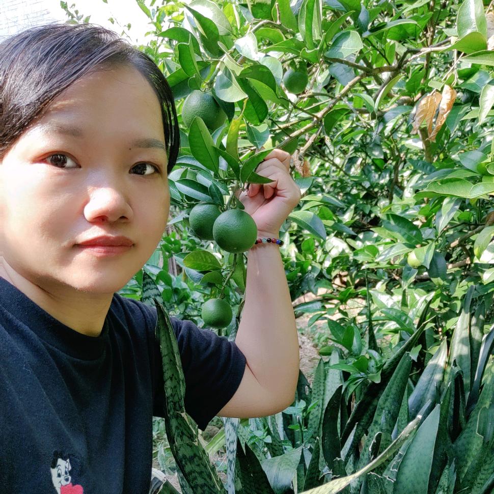 Lime 青柠
