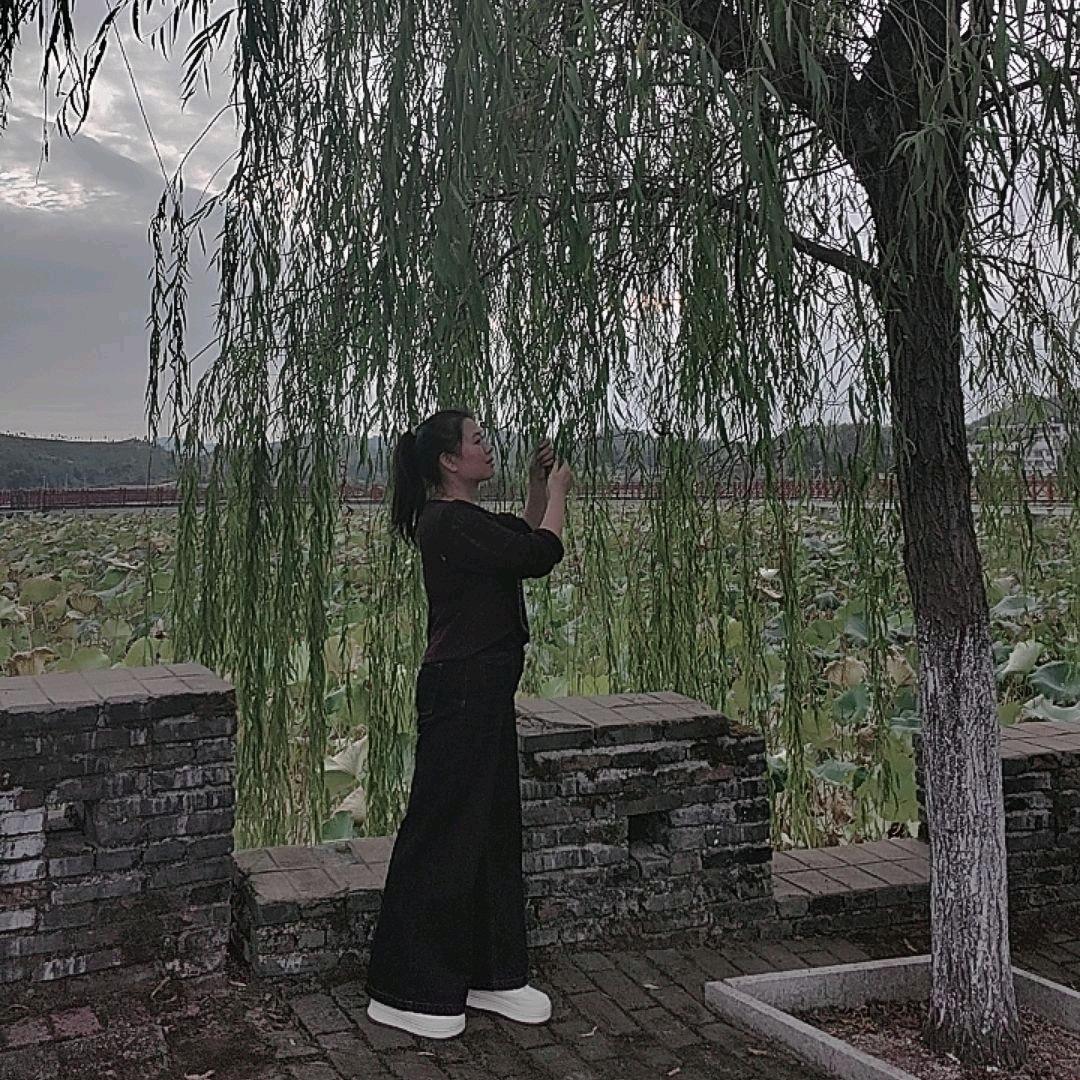 昨天的经历是明天的回忆，不用徘徊过去，
