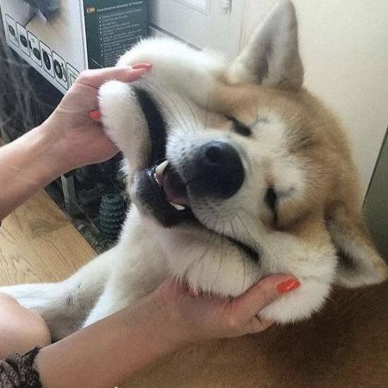 路途