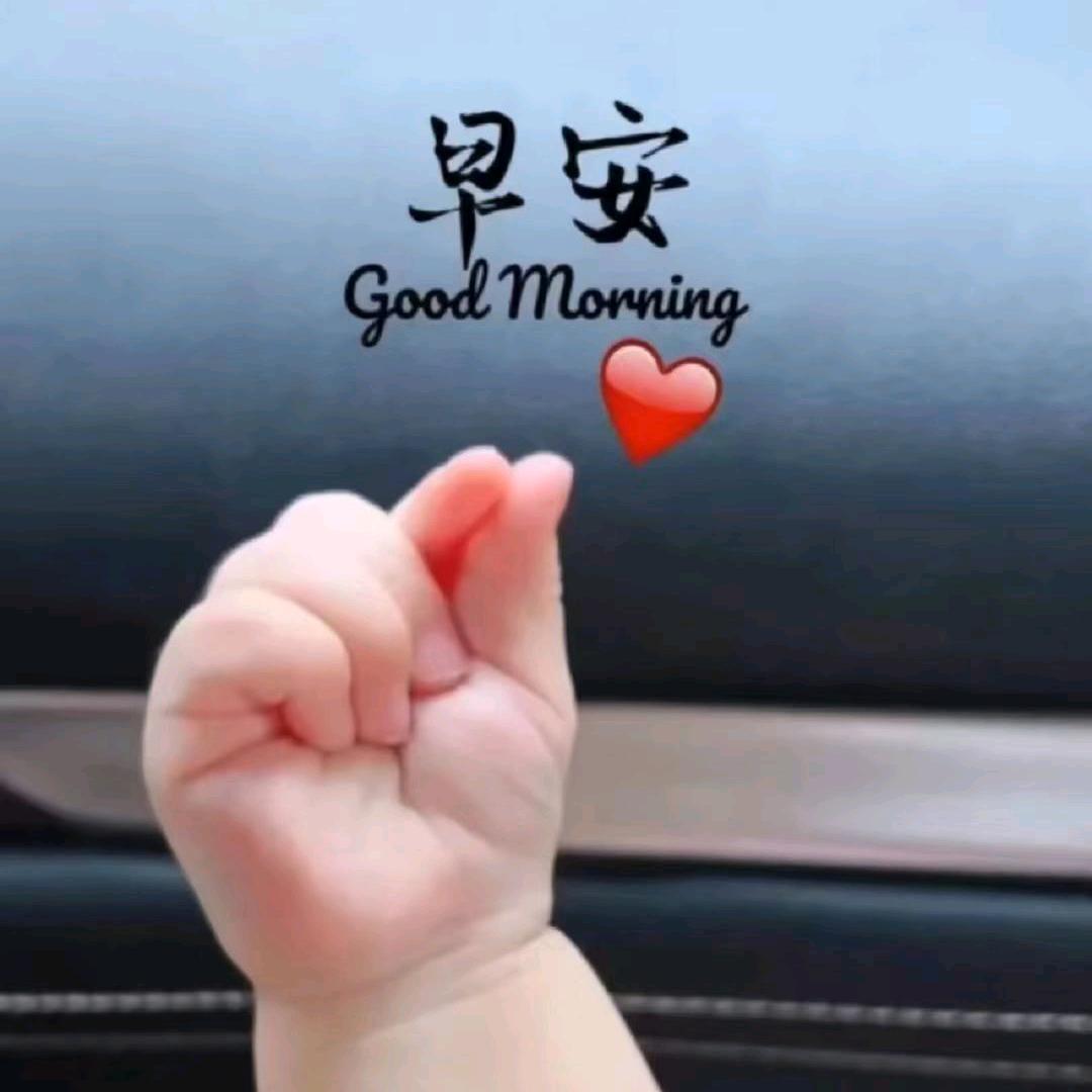 黄多鱼（重新开始）