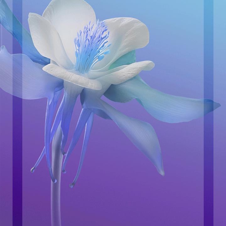 石磨坊