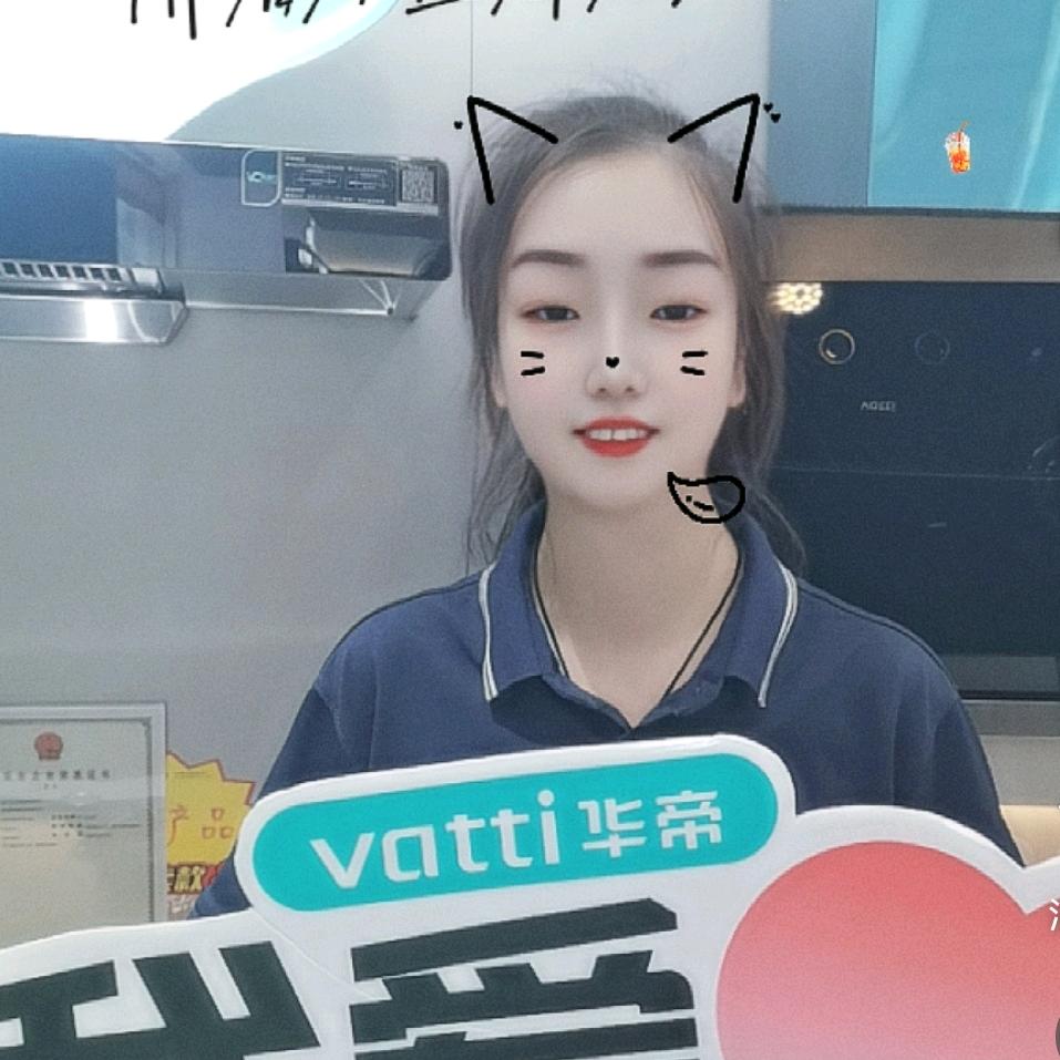 襄阳小白象家电-双双