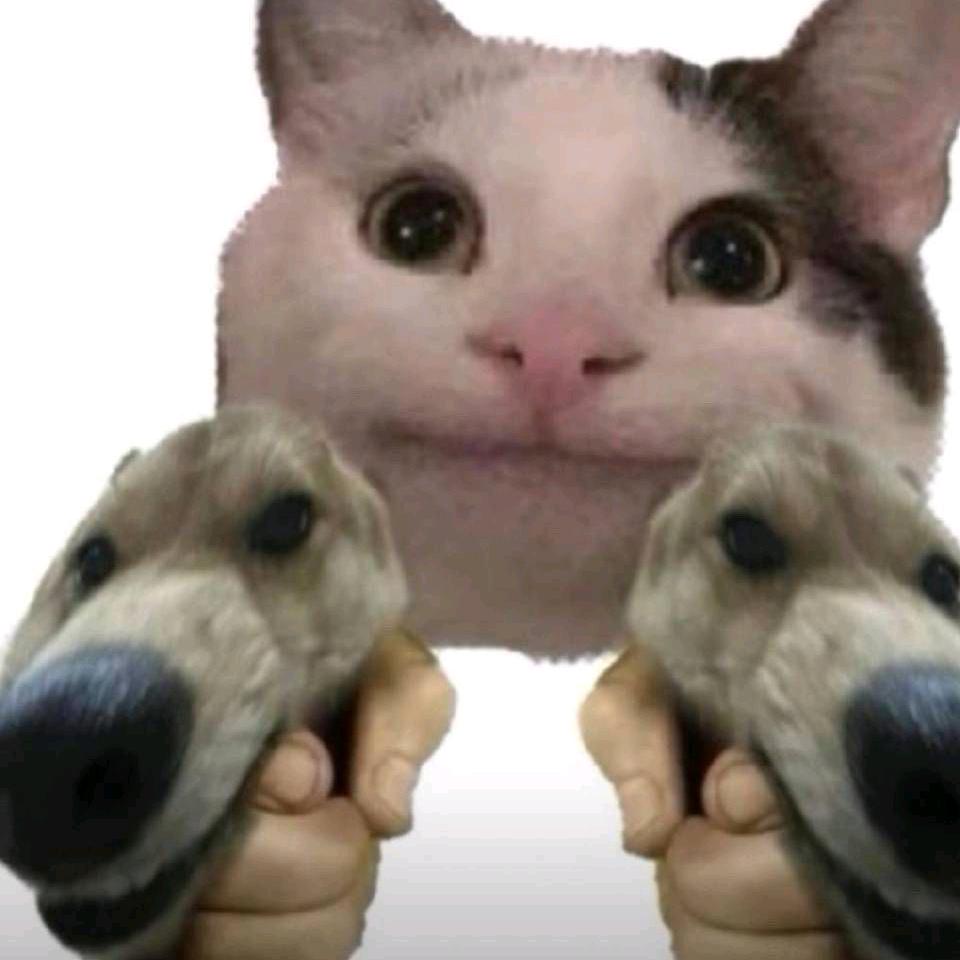 奇怪