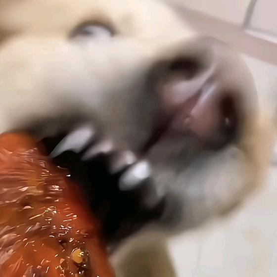 发呆大王