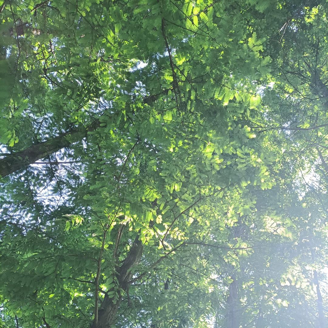@一生有李@