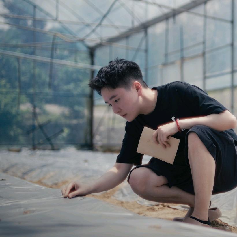 杨晓寒