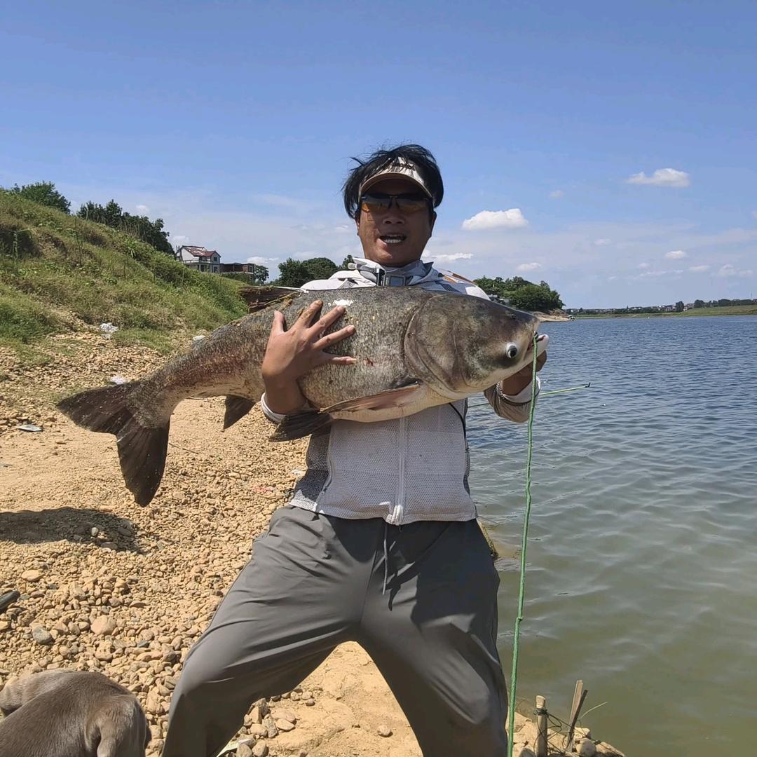 潇洒哥（野钓版🎣）