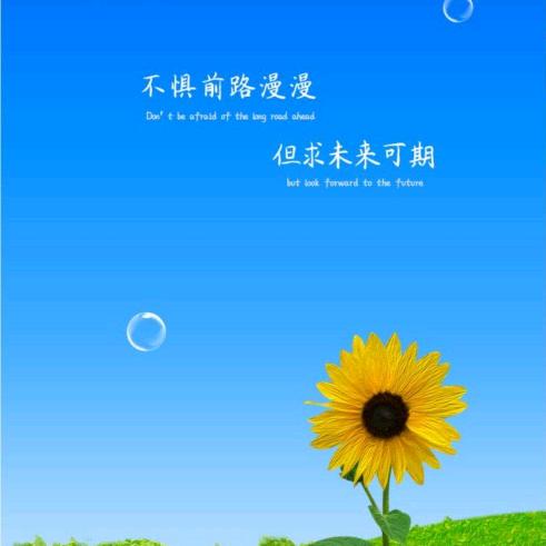 🌻向阳而生🌻