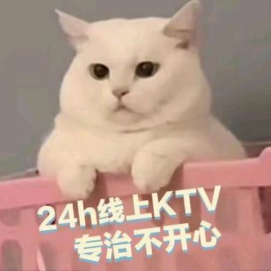 24小时合唱助眠KTV