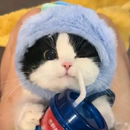 茉白