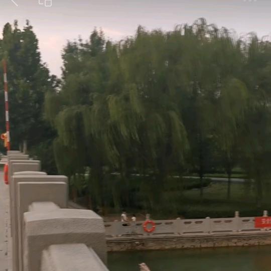 柱总👉鉴宝