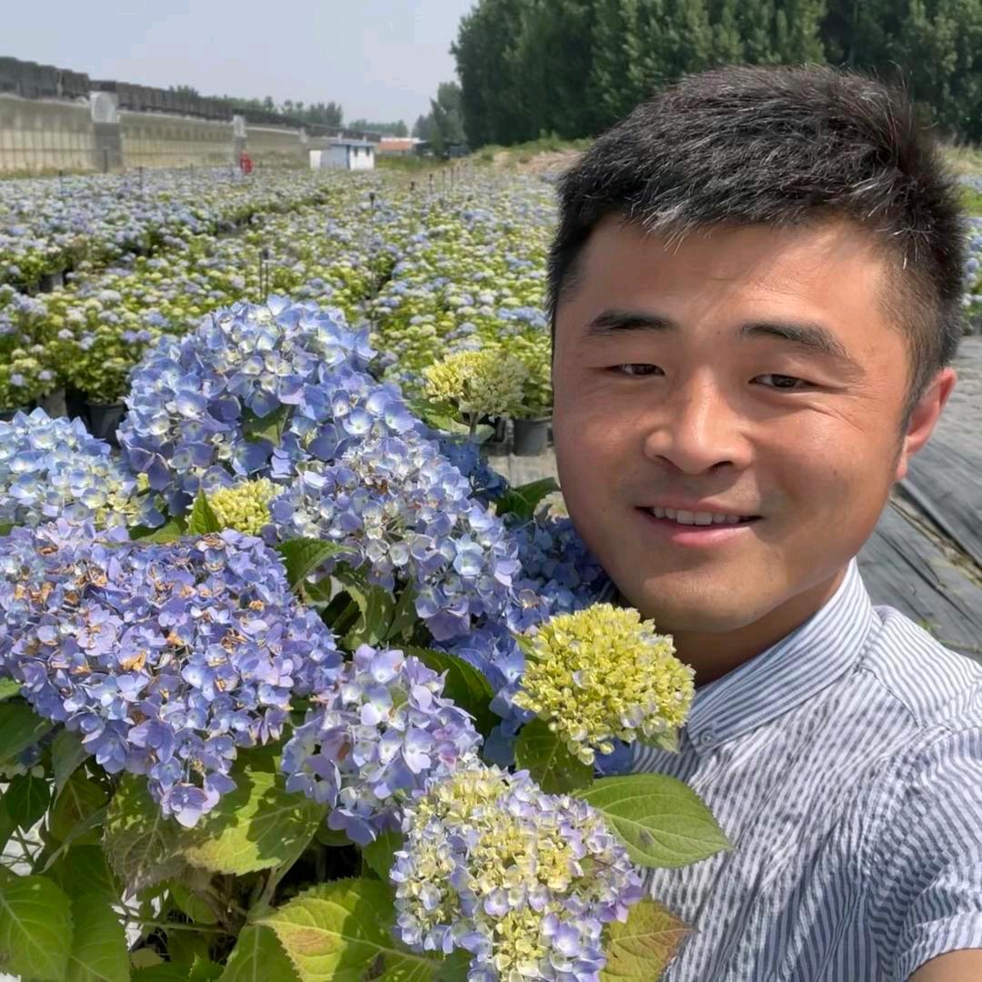 老花医总店