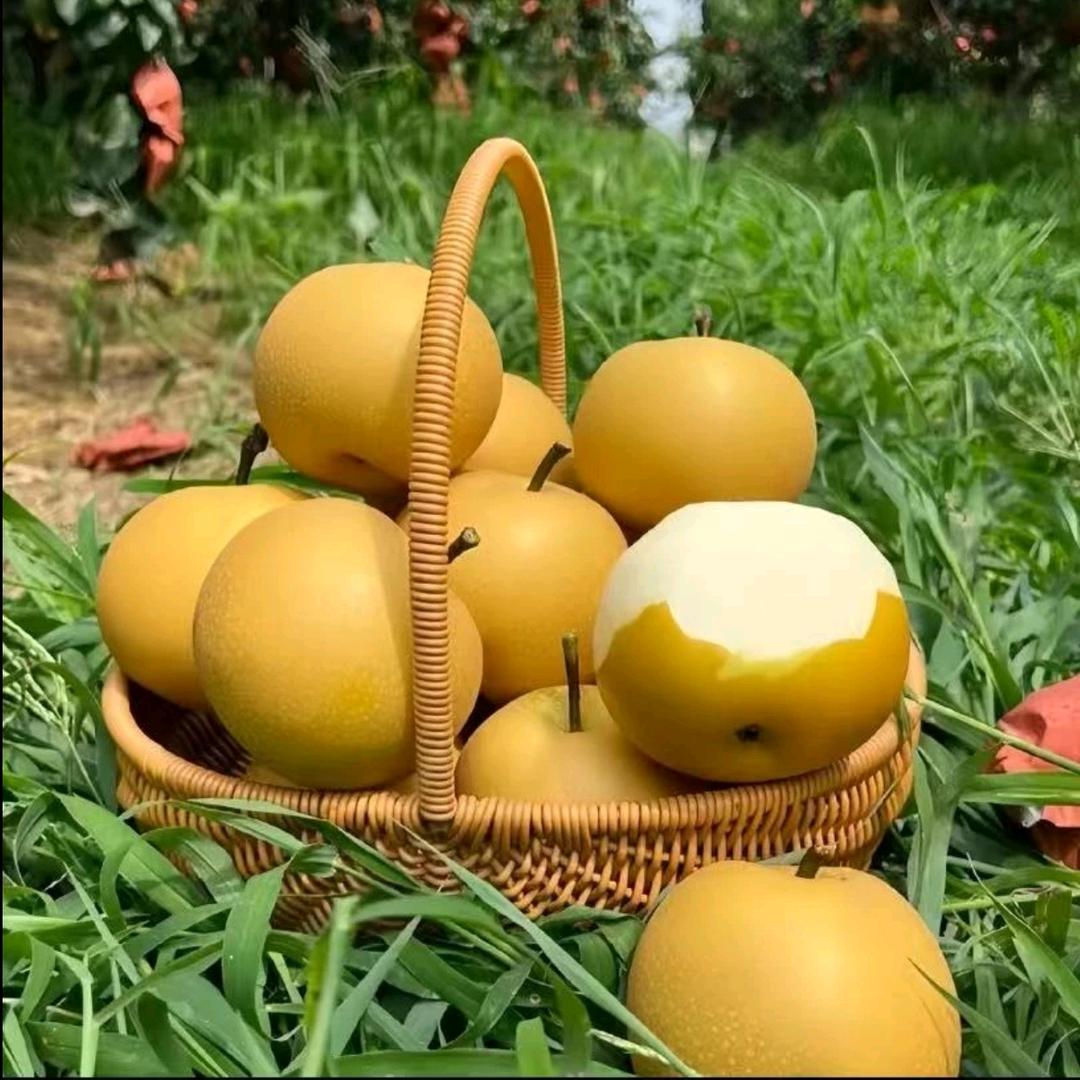 优质精品水果
