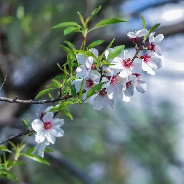 静安缘《专业做涂料和油漆》
