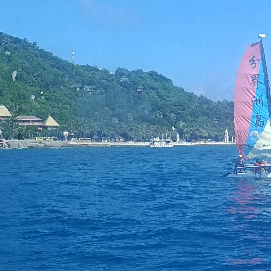 zj那片海