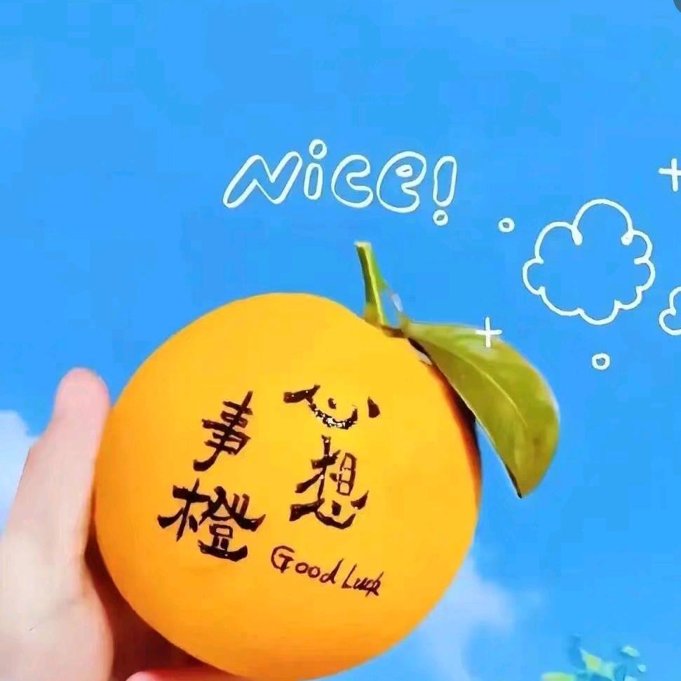 丹✨💫✨💫
