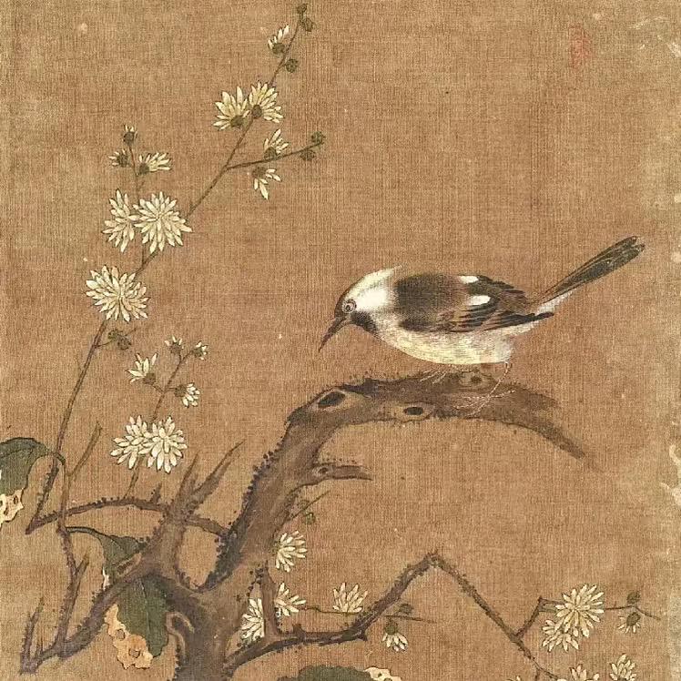 好书屋语
