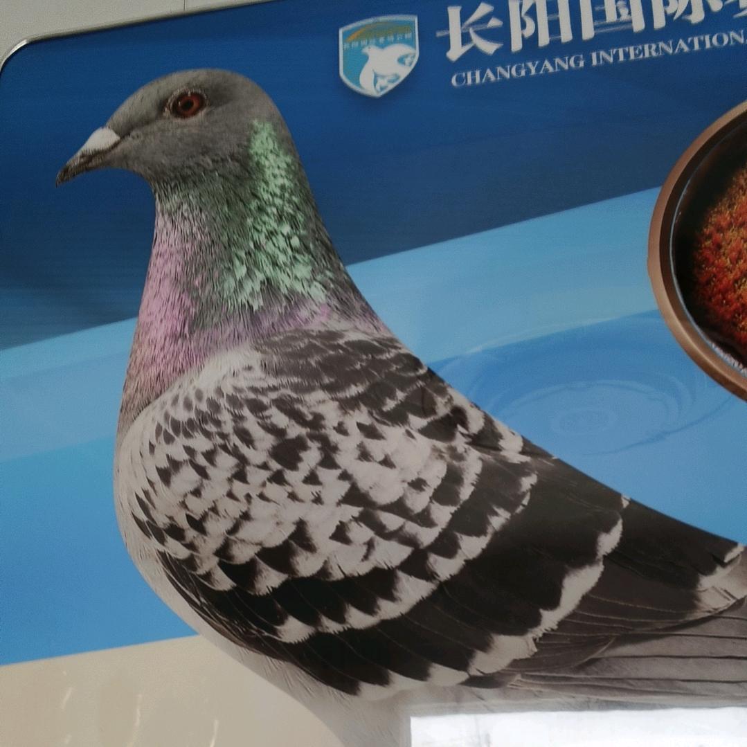 李国营