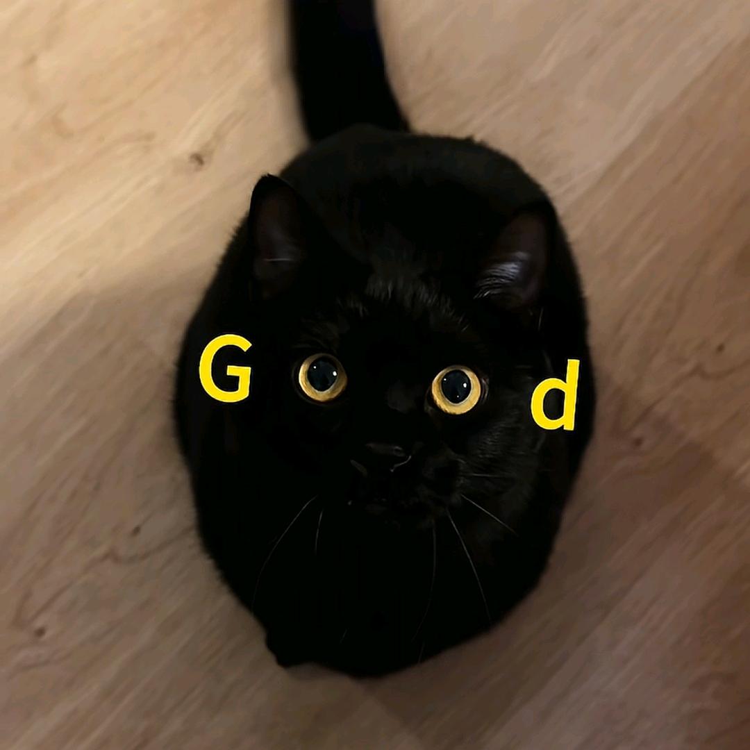 ʚ小千奈ɞᥫᩣ