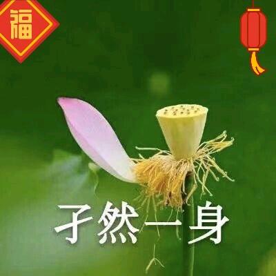 🌹友谊🌹