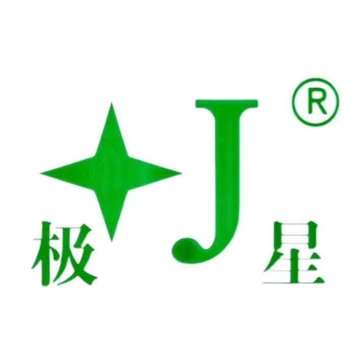 极星科技_王梓任