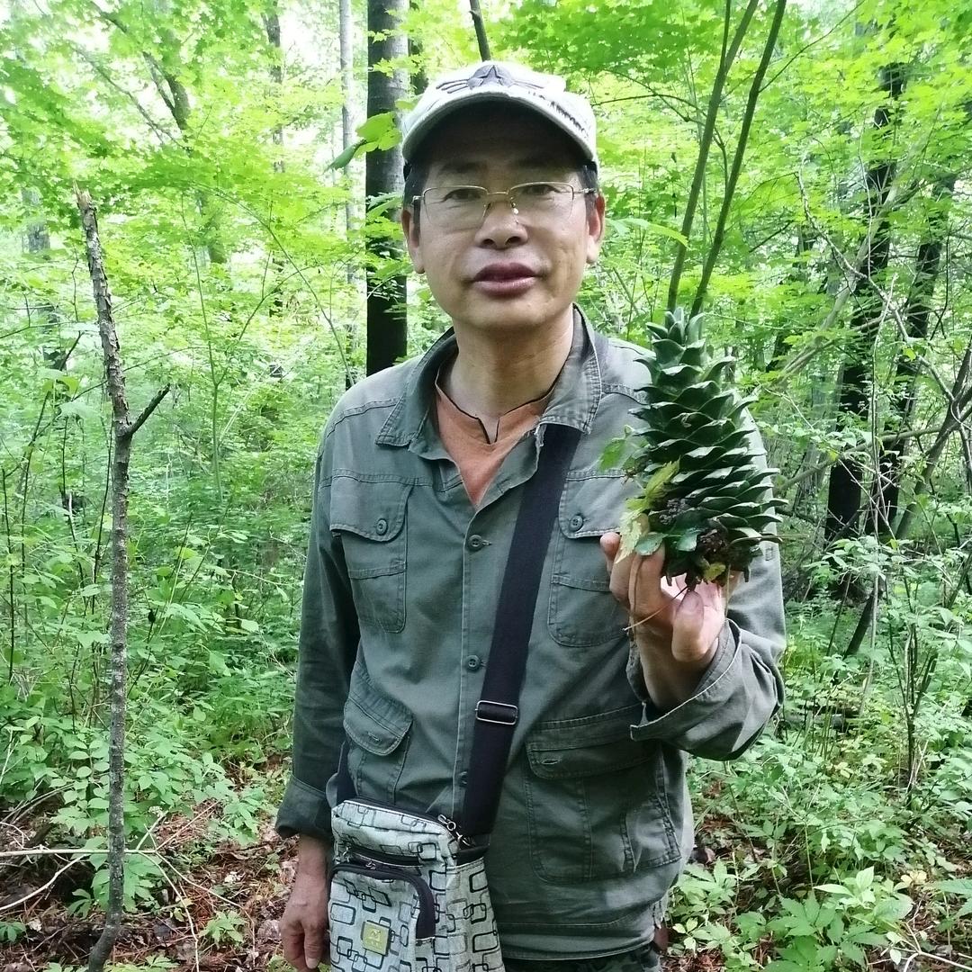 昊毅打松塔杆