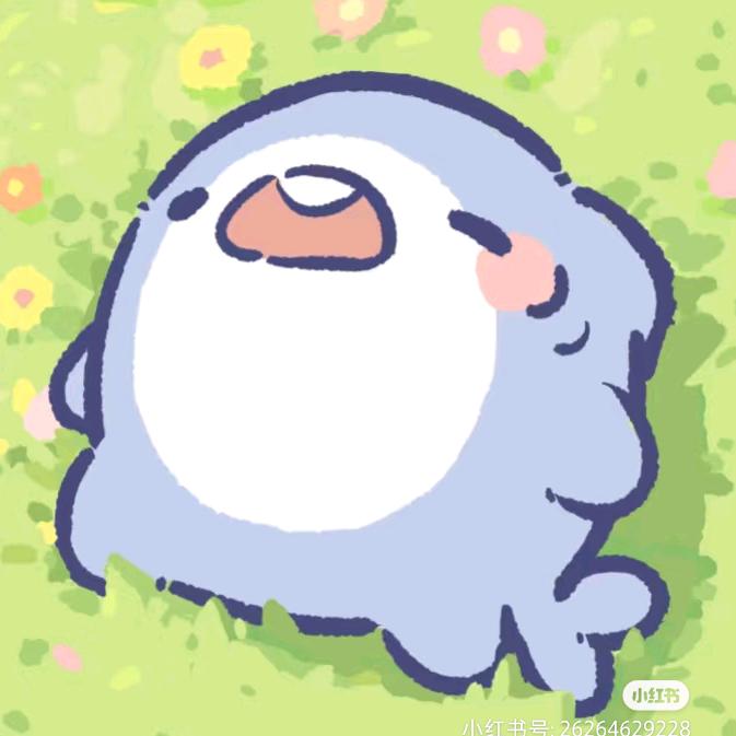 yyr鲍勃