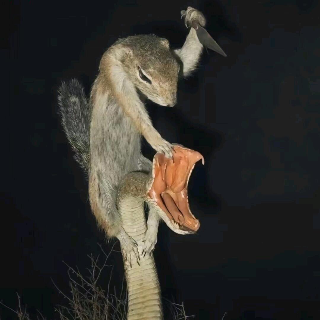 局势