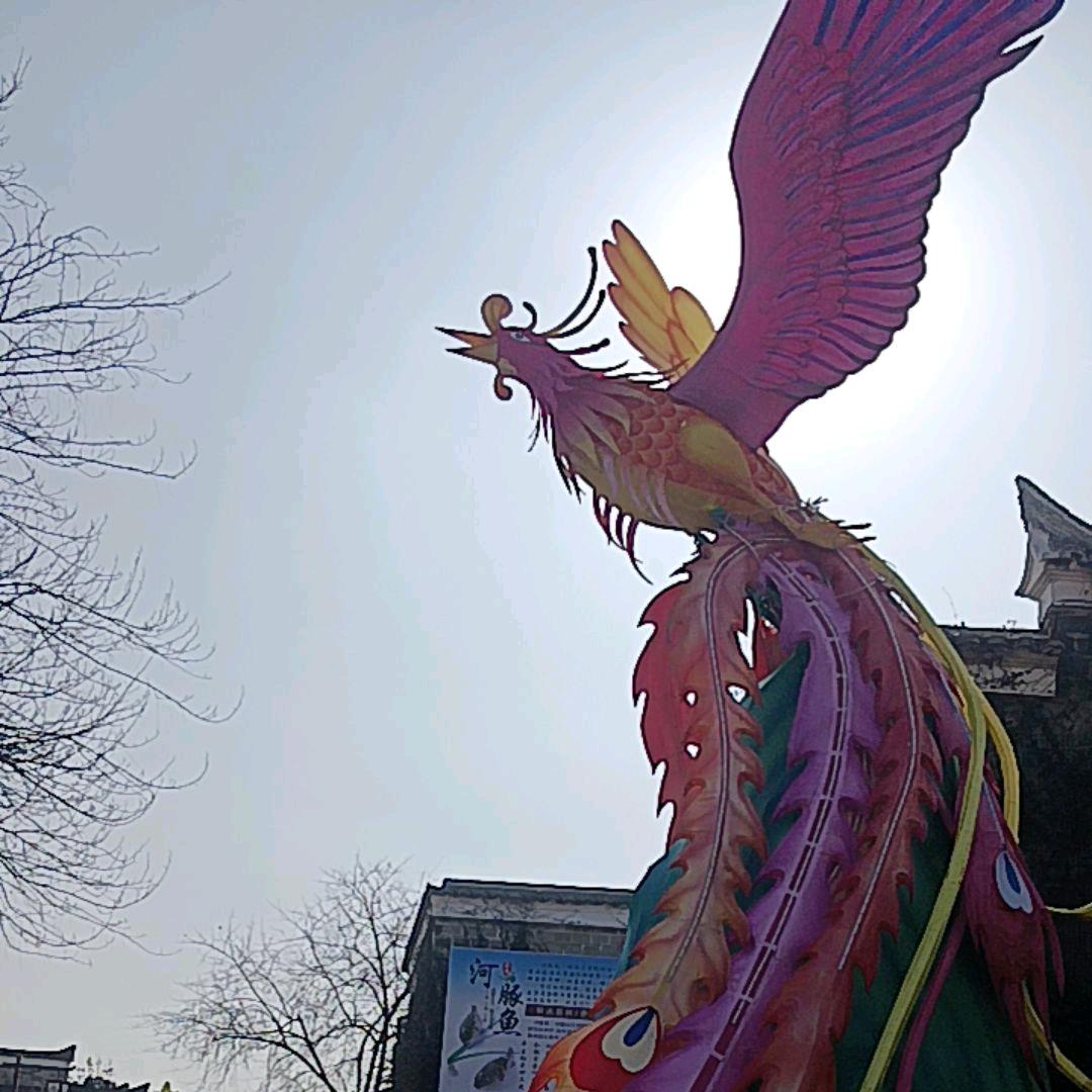飞向自由