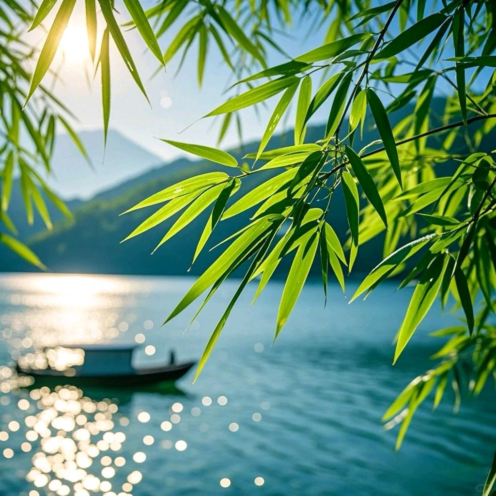 万仲优选