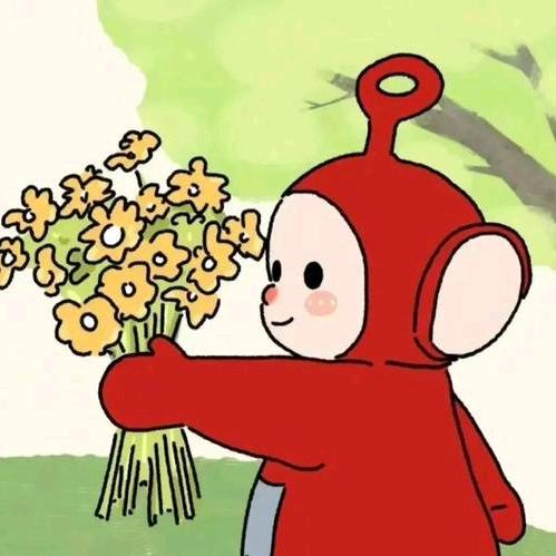 加贝加贝