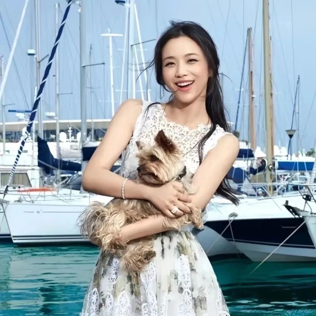 鱼肉松