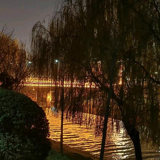 沐沐