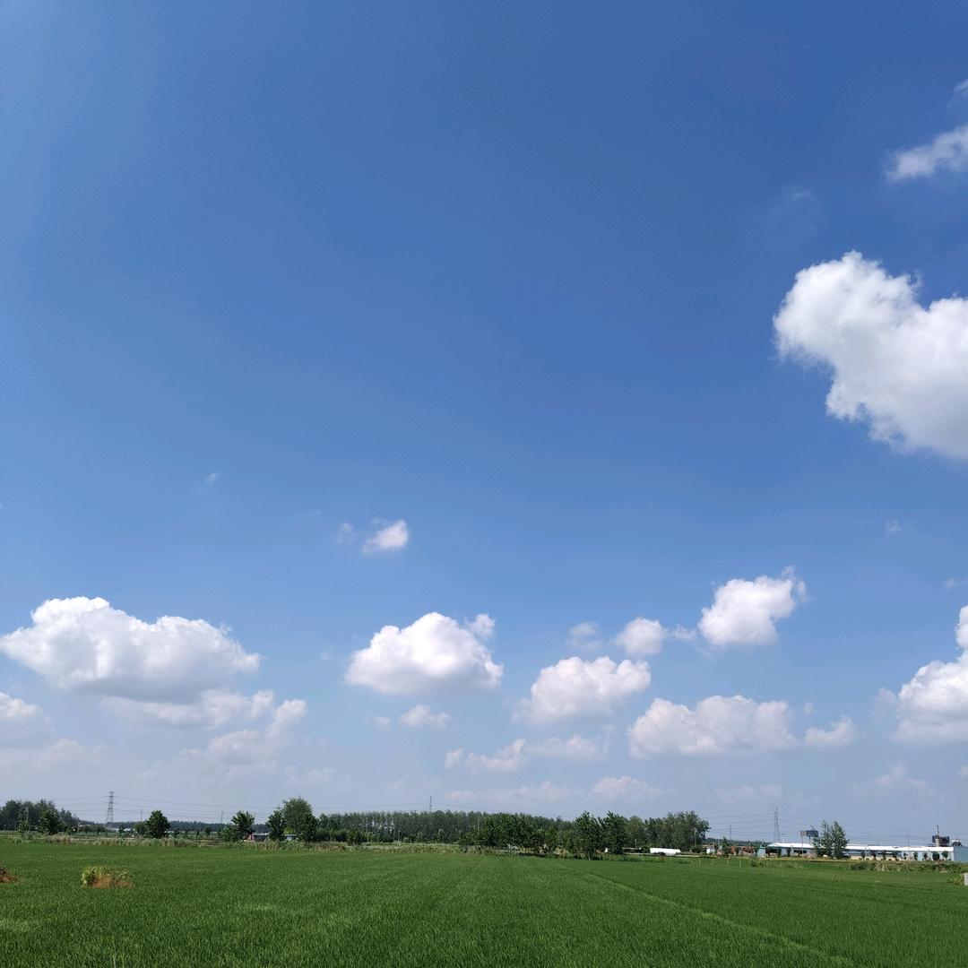 💐এ᭄浅笑不语꧔ꦿ᭄🌺