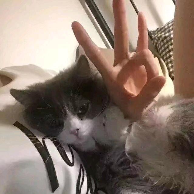 鹿真