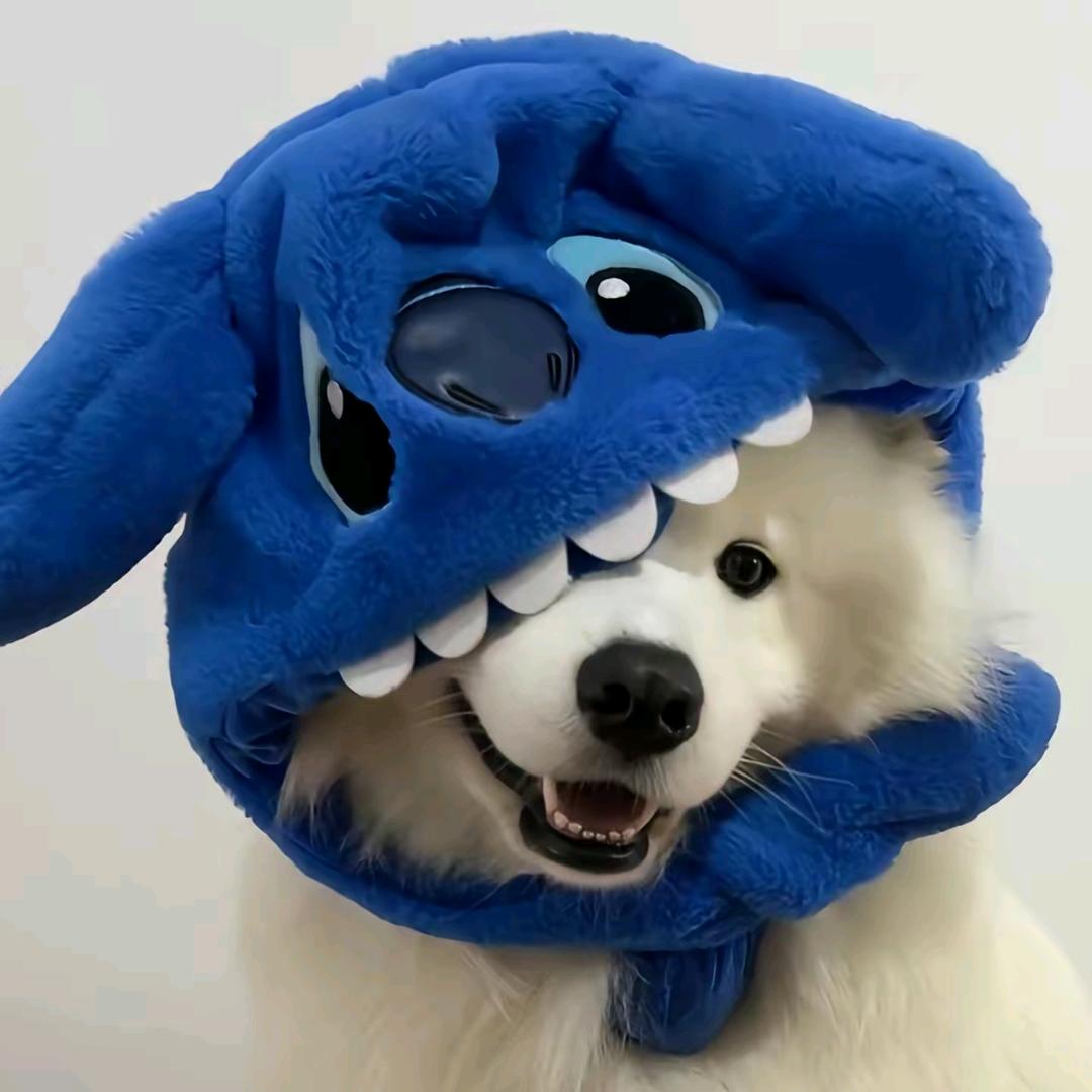 十万里白云烟